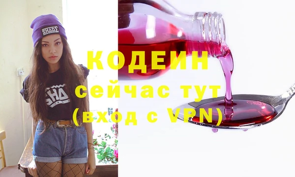 СК Няндома
