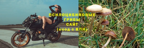 дмт Нязепетровск