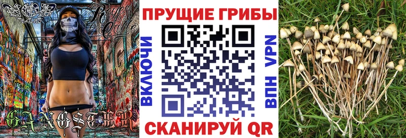 Галлюциногенные грибы мицелий  Энгельс 