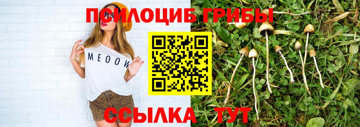 Энгельс  Галлюциногенные грибы MAGIC MUSHROOMS  где можно купить   Вход с VPN 