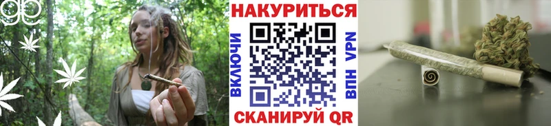 Конопля OG Kush Энгельс